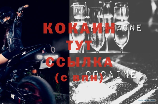 сатива Анжеро-Судженск