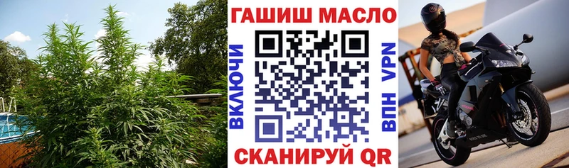 omg маркетплейс  Иланский  ТГК THC oil 